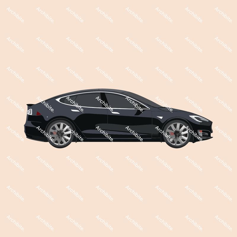 Vector Elevation Teslas