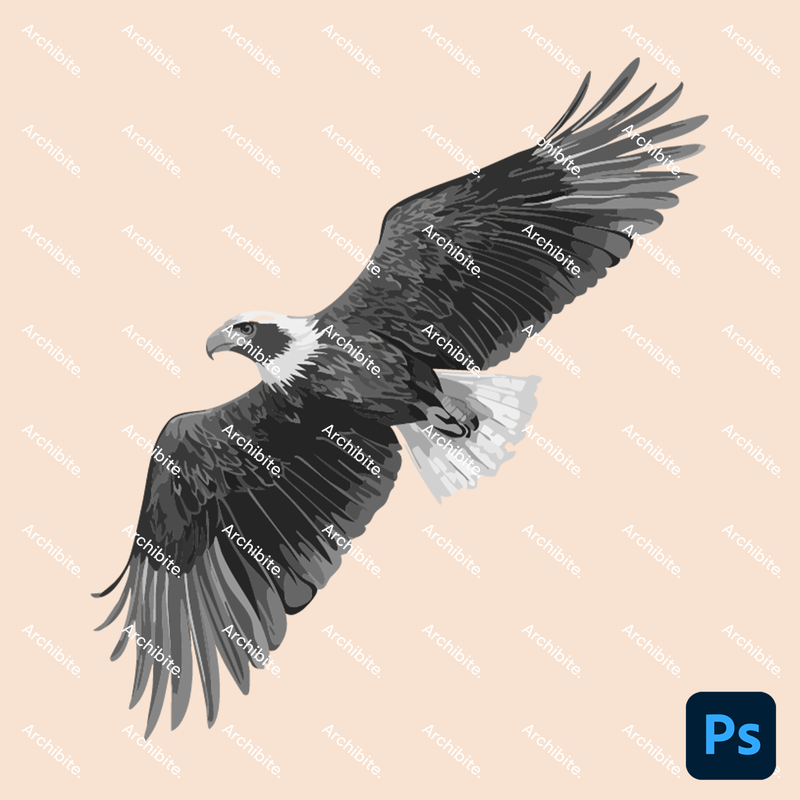 Photoshop Brushes Elevation Birds