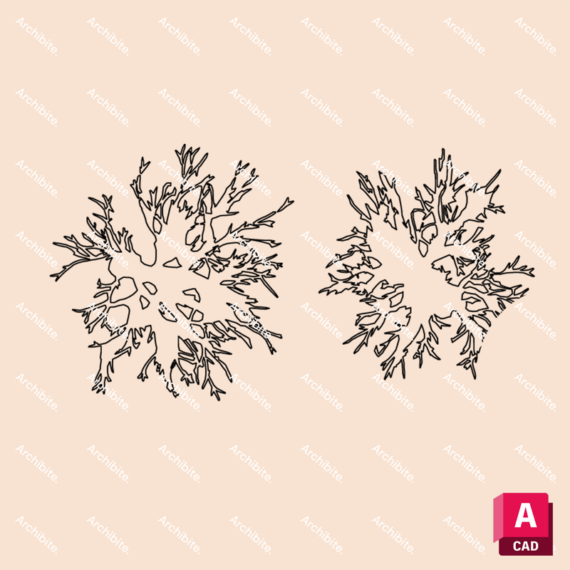 DWG Winter Trees Plan