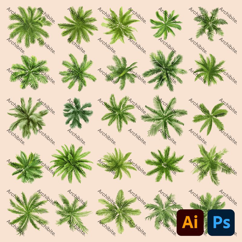 Vector Palm Trees Plan