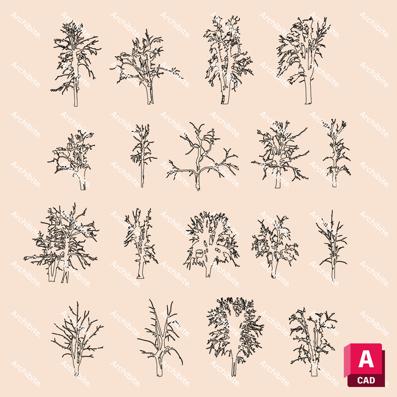 DWG Winter Trees Elevation