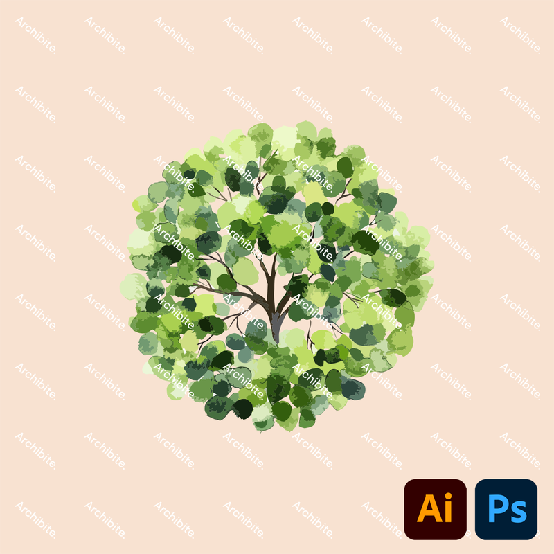 Vector Watercolor Trees Plan