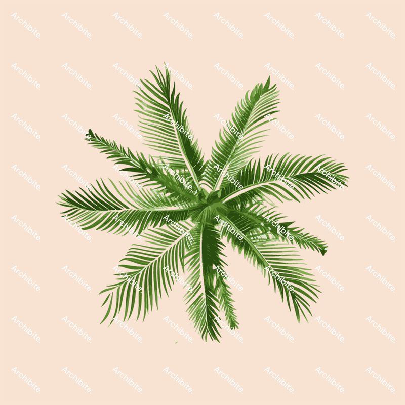 Vector Palm Trees Plan