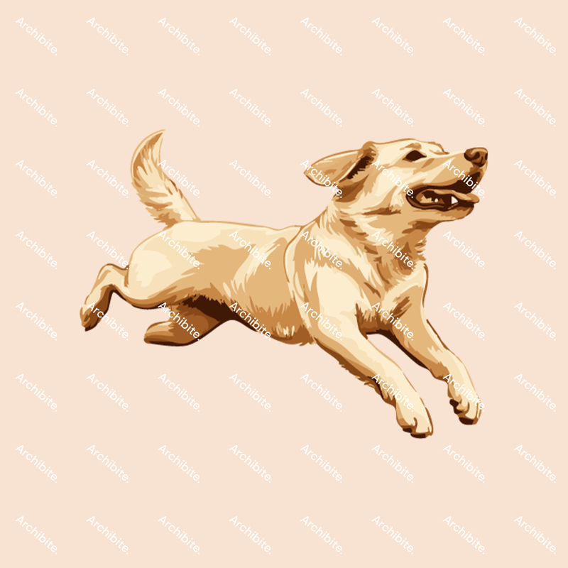 Vector Elevation Dogs