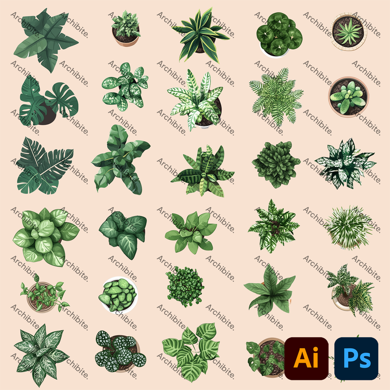 Vector House Plants Plan 2