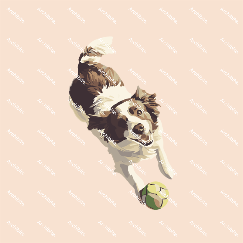 Vector Floor Plan Dogs