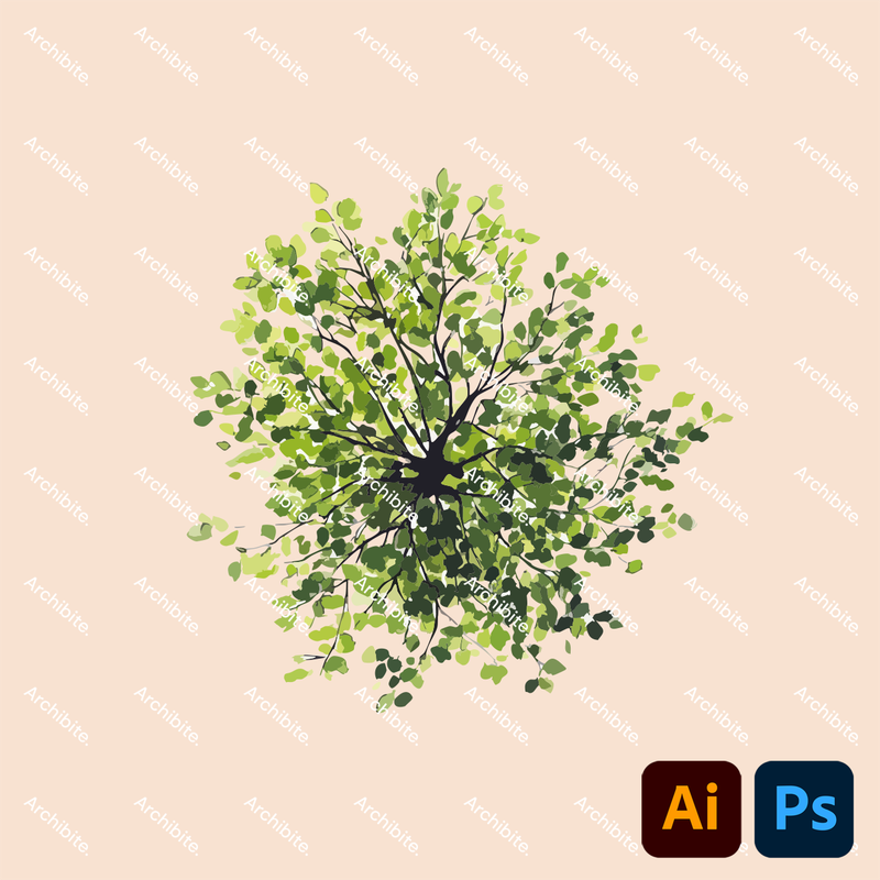 Vector Watercolor Trees Plan