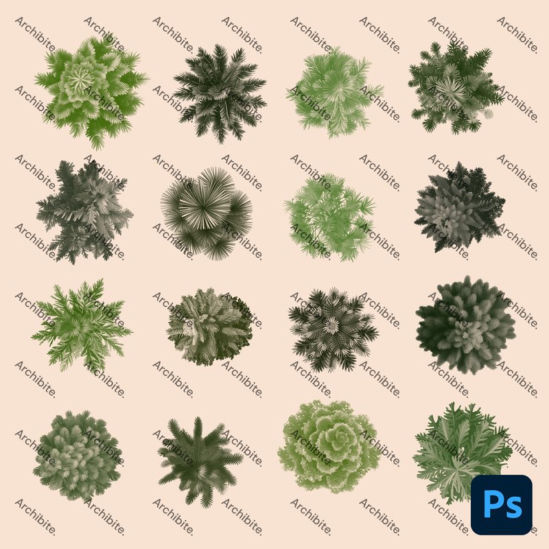 Photoshop Brush Trees Megapack