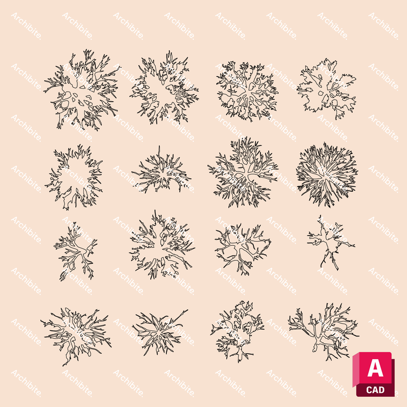 DWG Winter Trees Plan