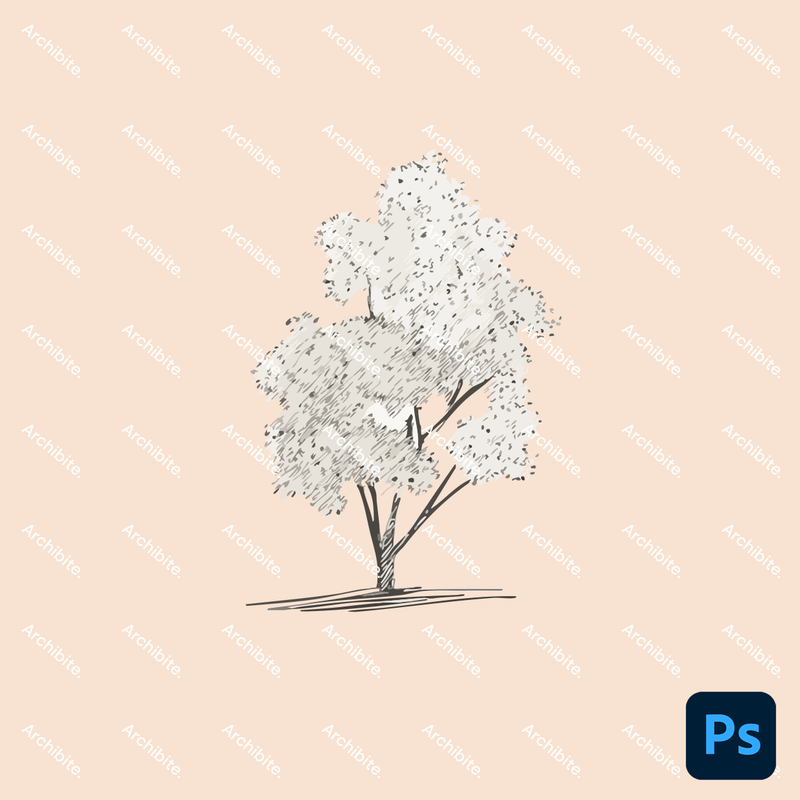 Photoshop Brushes Hand Drawn Simple Trees Elevation 2
