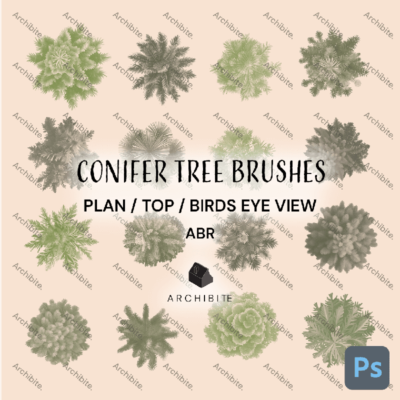 Photoshop Brushes Conifer Trees Plan