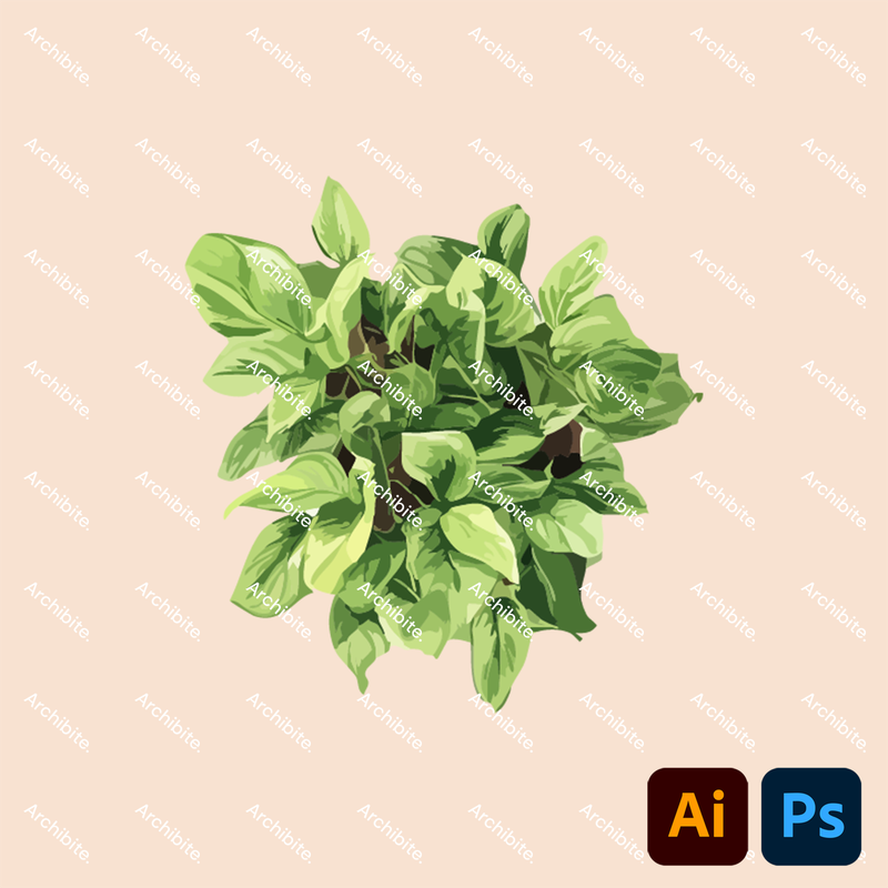 Vector House Plants Plan