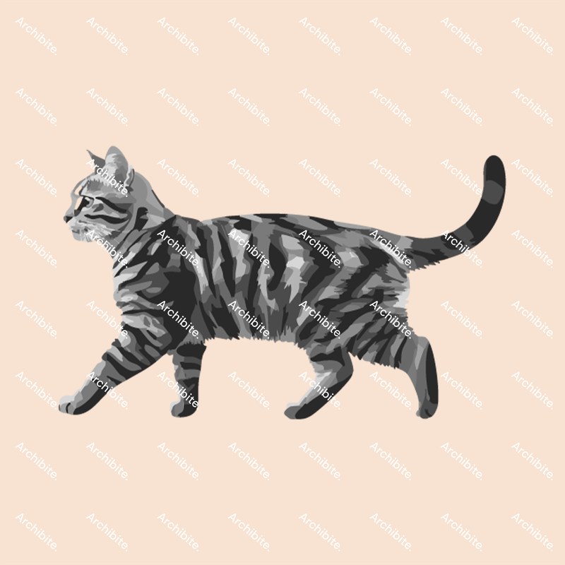 PS Brushes Elevation Cats