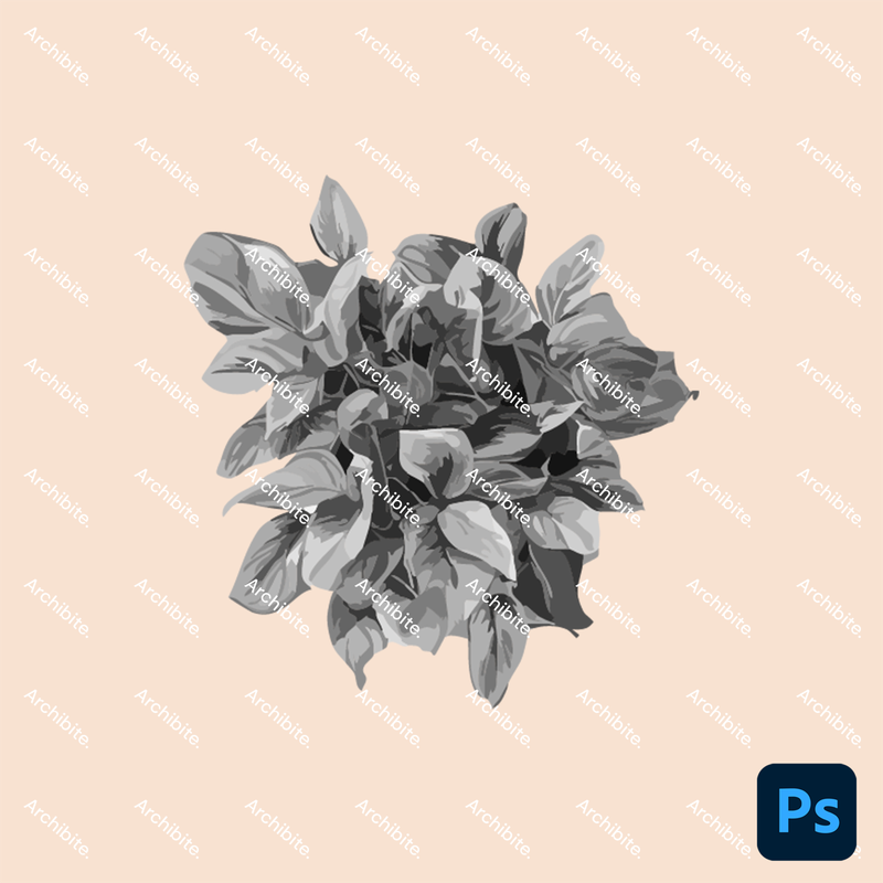 Photoshop Brushes House Plants Plan