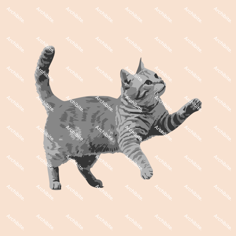 PS Brushes Elevation Cats
