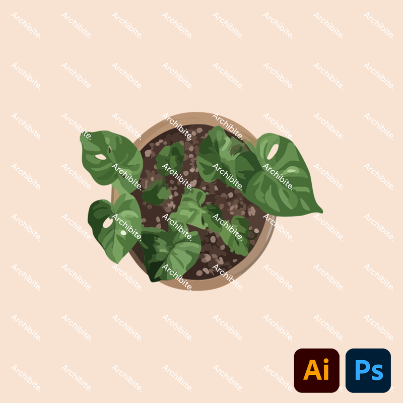 Vector House Plants Plan 2