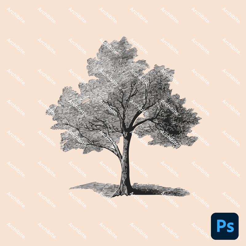 Photoshop Brushes Hand Drawn Trees Elevation 2