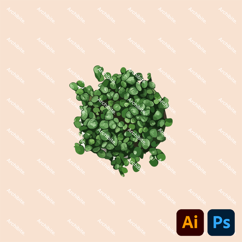 Vector House Plants Plan 2