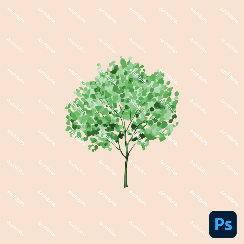 Photoshop Brushes Watercolor Trees Elevation