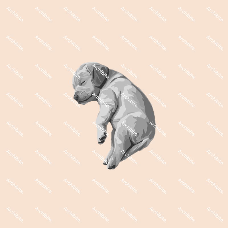 PS Brushes Plan Dogs