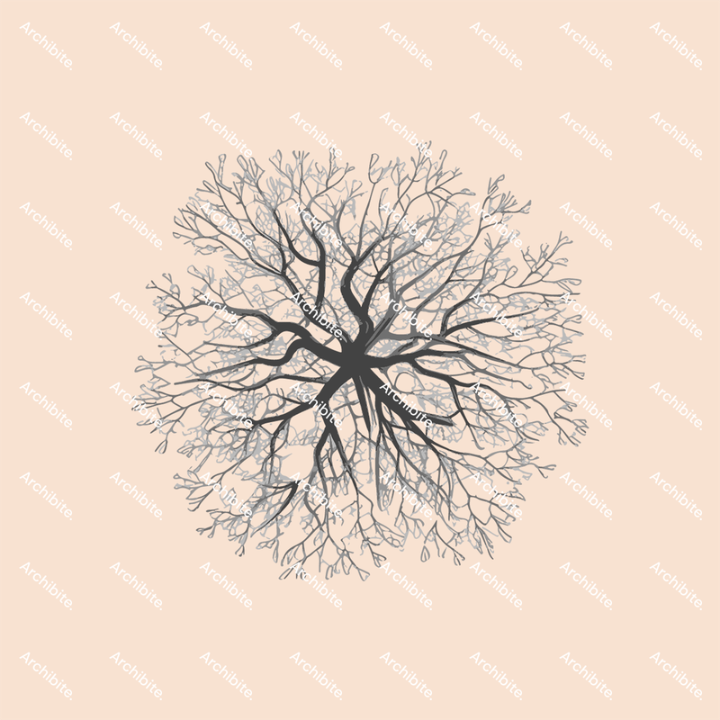 Vector Winter Trees Plan