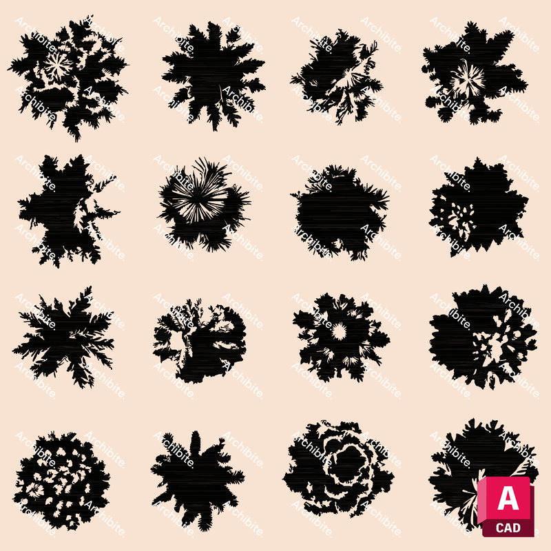DWG Conifer Trees Plan