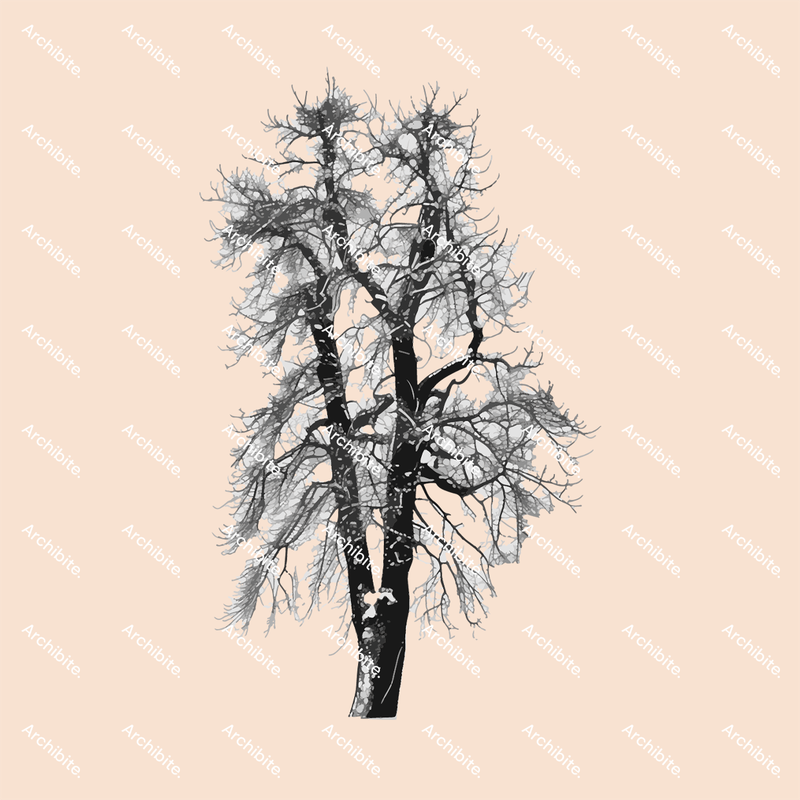 Photoshop Brushes Winter Trees Elevation