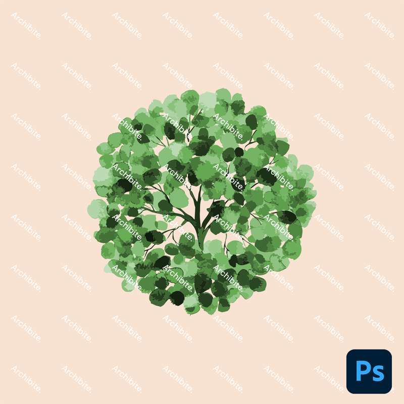 Photoshop Brushes Watercolor Trees Plan