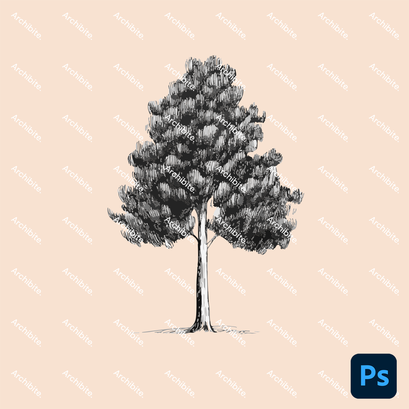 Photoshop Brushes Hand Drawn Trees Elevation 2
