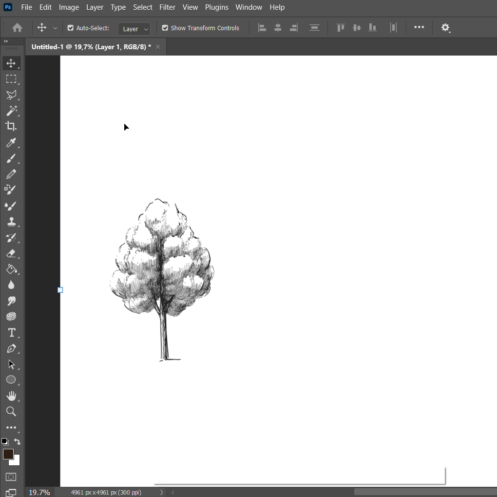 Vector Hand Drawn Trees Elevation 2