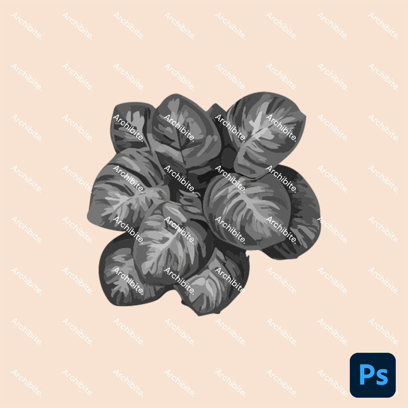 Photoshop Brushes House Plants Plan