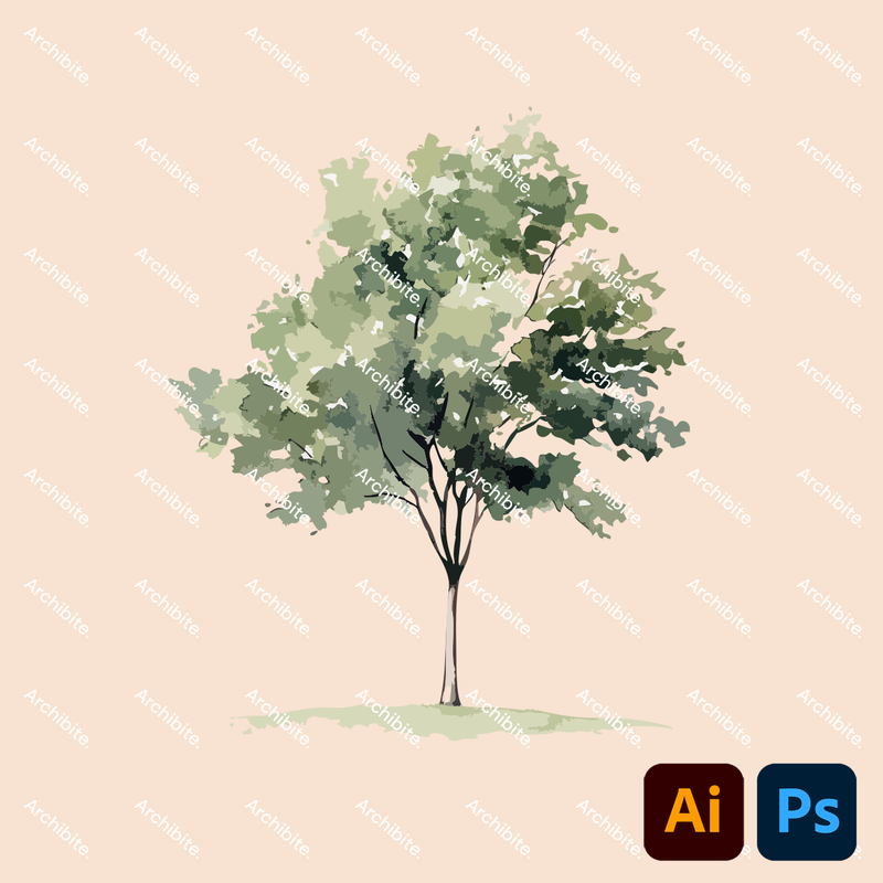 Vector Watercolor Trees Elevation