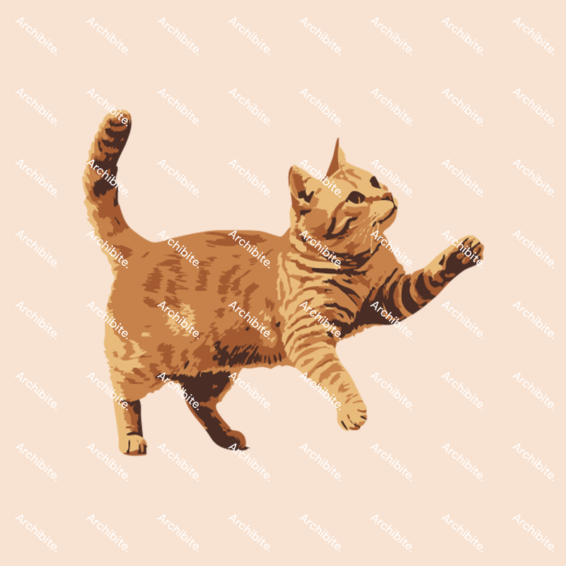 Vector Elevation Cats