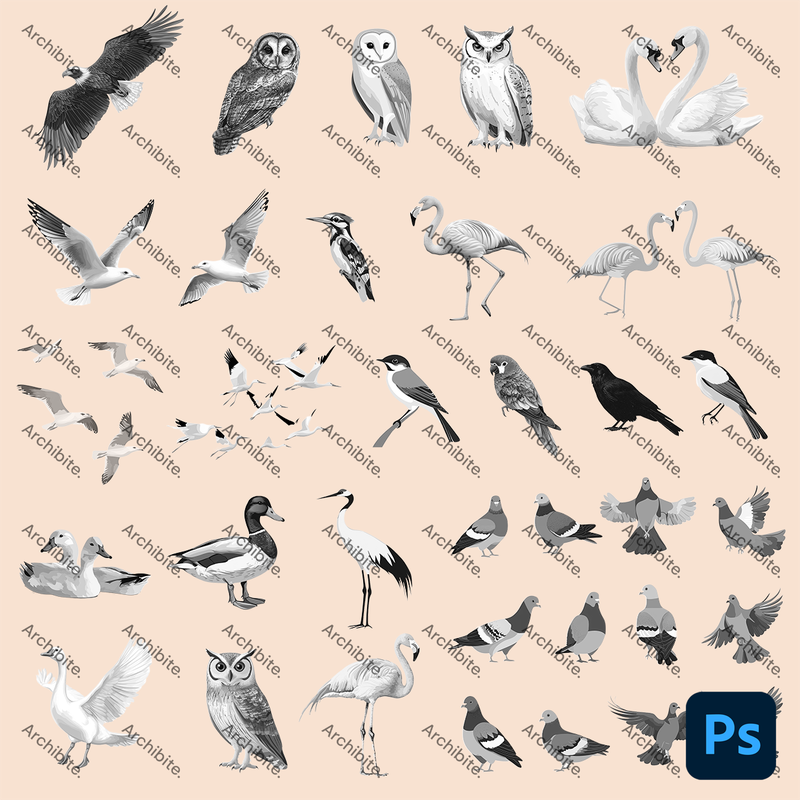 Photoshop Brushes Elevation Birds