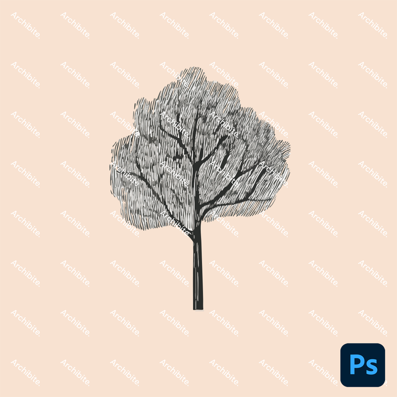 Photoshop Brushes Hand Drawn Simple Trees Elevation