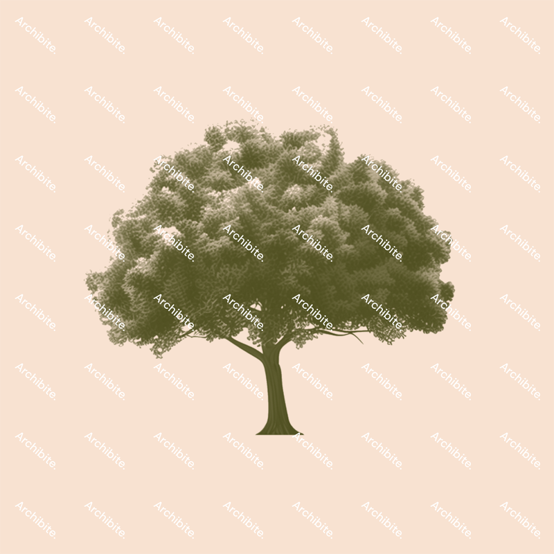 Photoshop Brushes Summer Trees Elevation