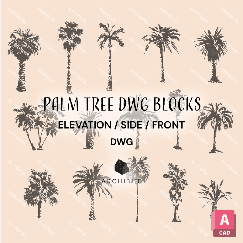 DWG Palm Trees Elevation