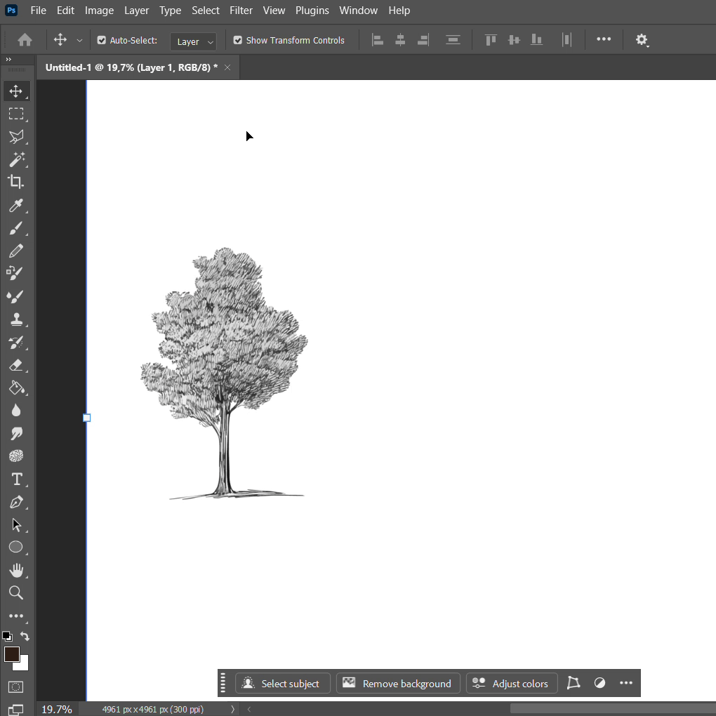 Vector Hand Drawn Trees Elevation