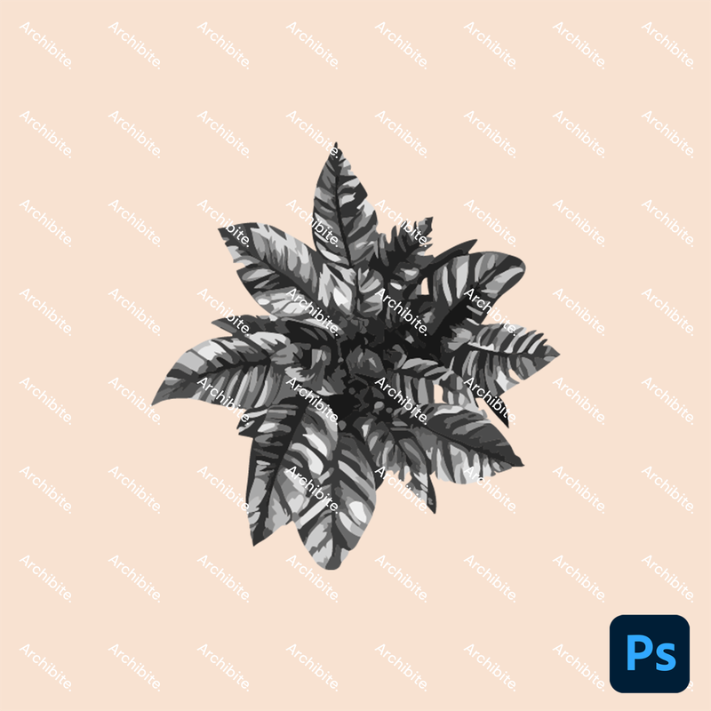 Photoshop Brushes House Plants Plan 2
