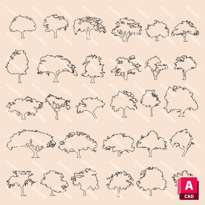 DWG Summer Trees Elevation