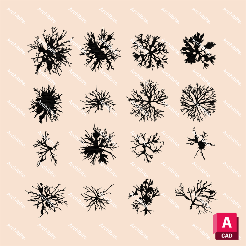 DWG Winter Trees Plan