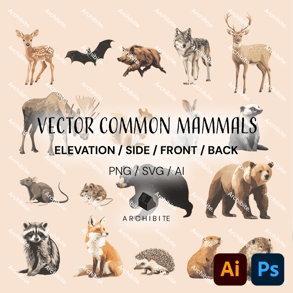 Vector Elevation Common Mammals